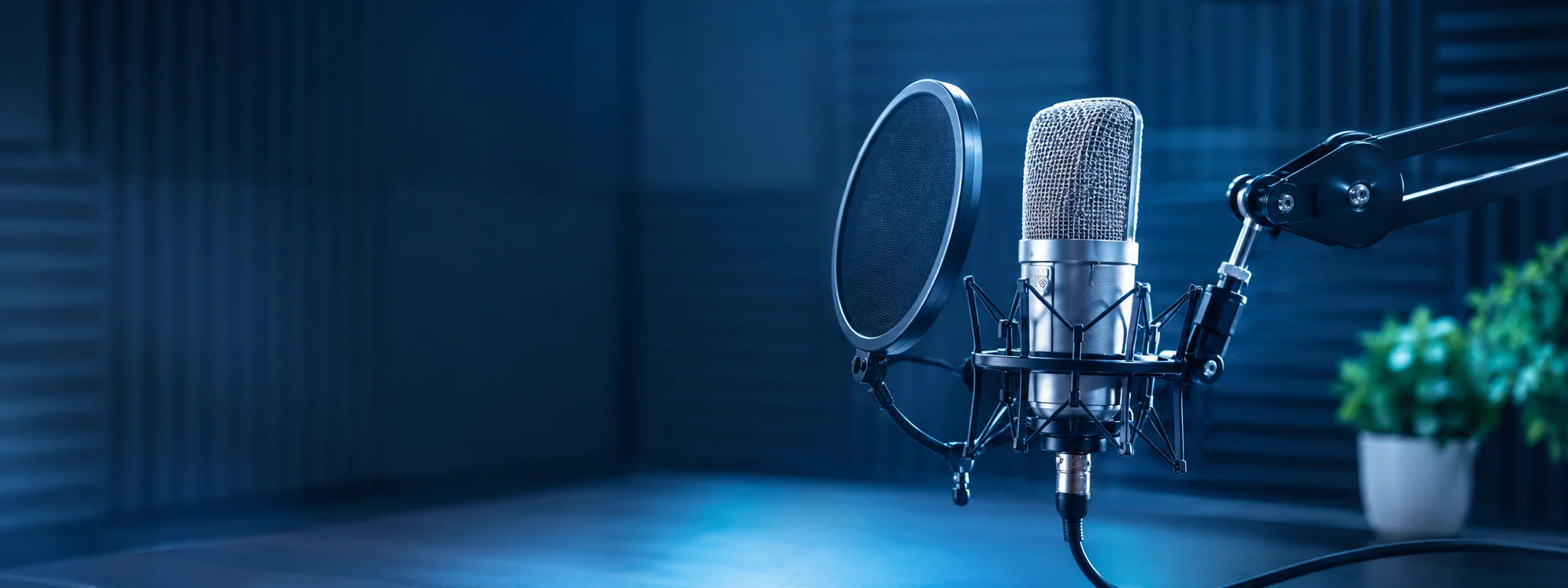 Studio microphone in a dark treated room, single cool key light